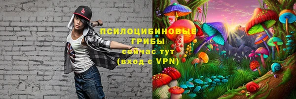 прущая мука Балахна