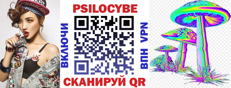 Купить где  Сланцы  Псилоцибиновые грибы Psilocybe 
